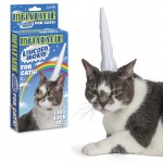 cat unicorn horn